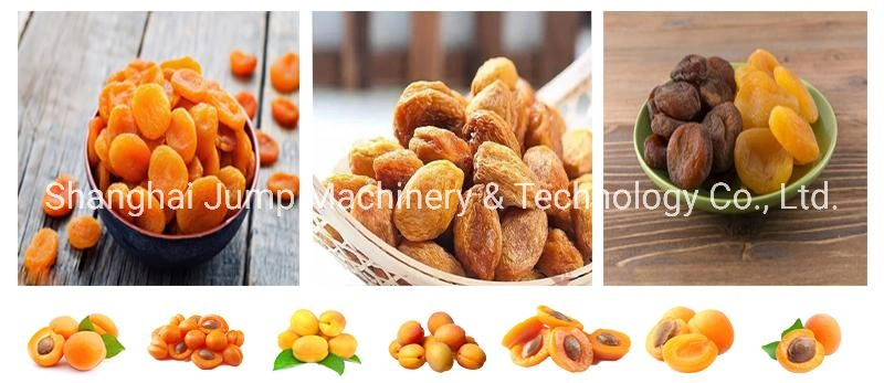 300-800kg/H Candied Fruit Processing Line Sugared Plum Making Machines and Packaging Machines