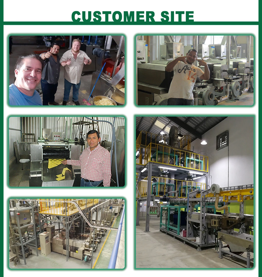 More Than 10 Years Energy Bar Custom Formulation Production Line + Make Cereal Bar + Forming Bars Cereal, Candy Extrusion Machine