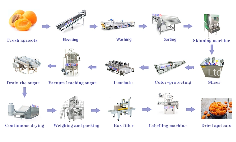 Organic Dried Apricot Processing Machine Clean Candied Apricot Drying and Packing Machines