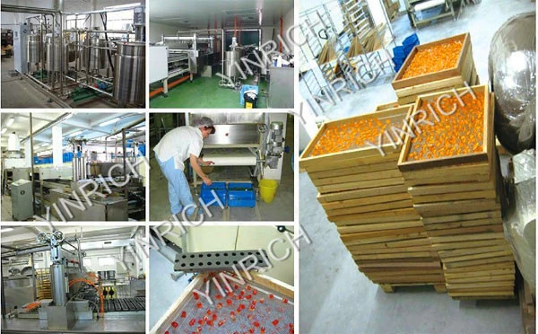 Candy Deposited Processing Worm Jelly Candy Production Line (GDQ600)