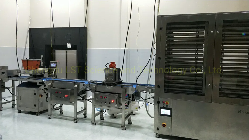 Safety Brand Chocolate Production Line One Shot Depositor for Sale