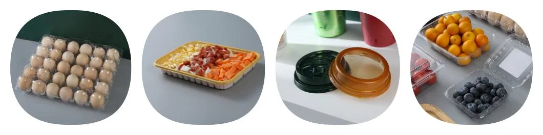 Plastic Disposable Food Box Making Thermoforming Machine for Cake/Lunch/Sweet/Sushi/Fruit