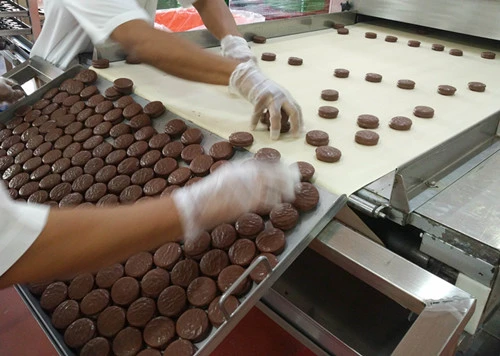 Chocolate Pie Making Machine Macarons Machinery Sandwiching Machine Chocolate-Coated Marshmallow Depositing on Biscuit (JXJ1000) with Ce ISO9001