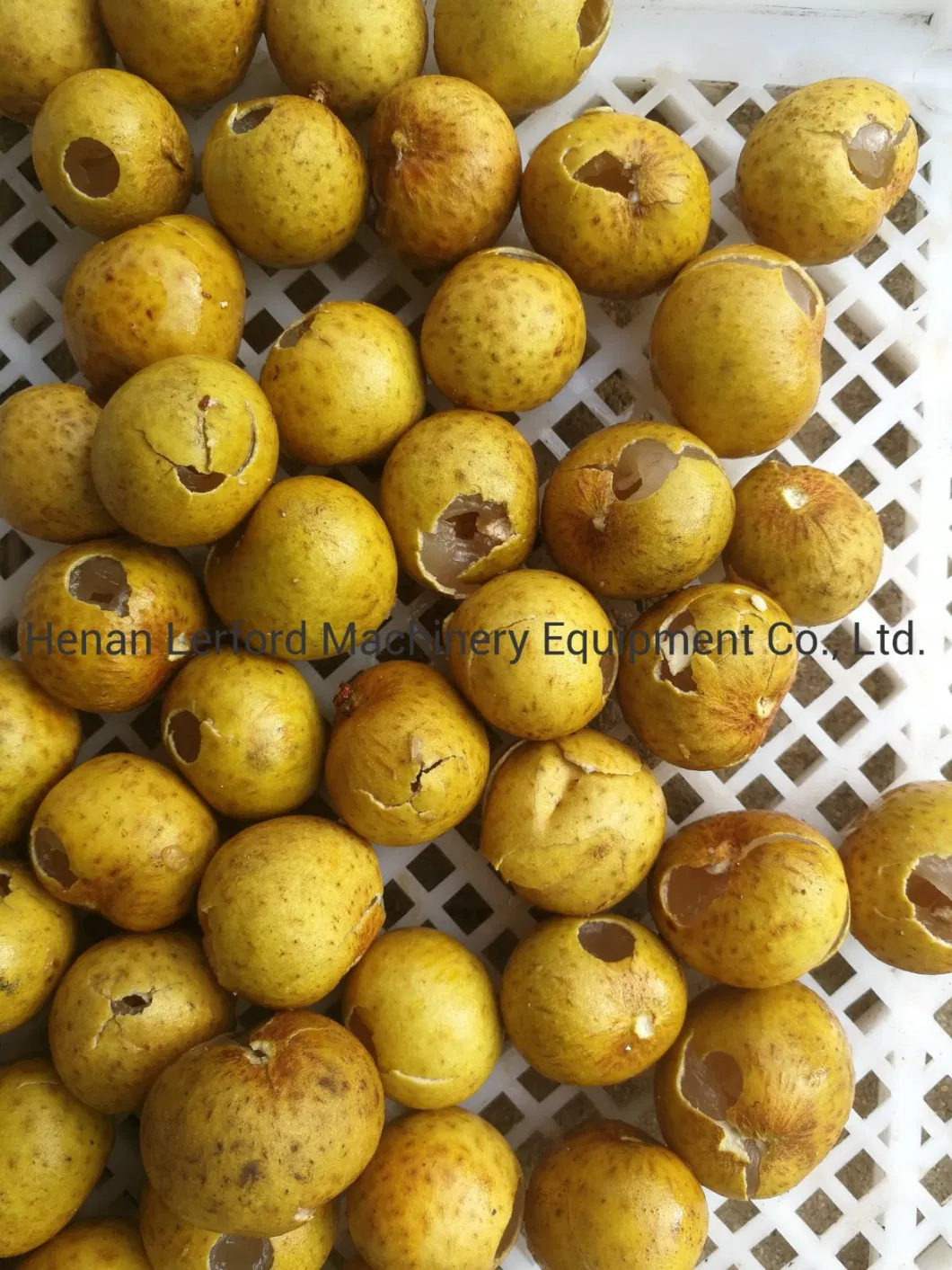 Lychee Pitter Longan Peeling and Pitting Stoning Coring Machine Line