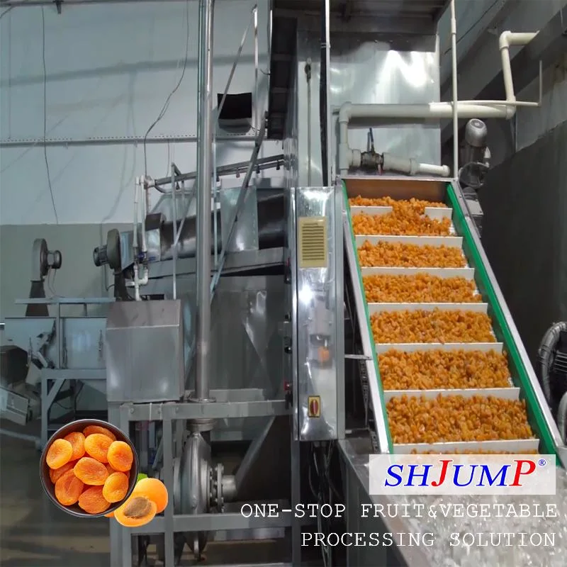 Organic Dried Apricot Processing Machine Clean Candied Apricot Drying and Packing Machines