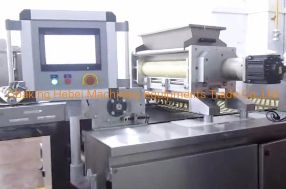 Commerical Chocolate Chip Cookies Making Machine Frozen Cookies Dough Cutter