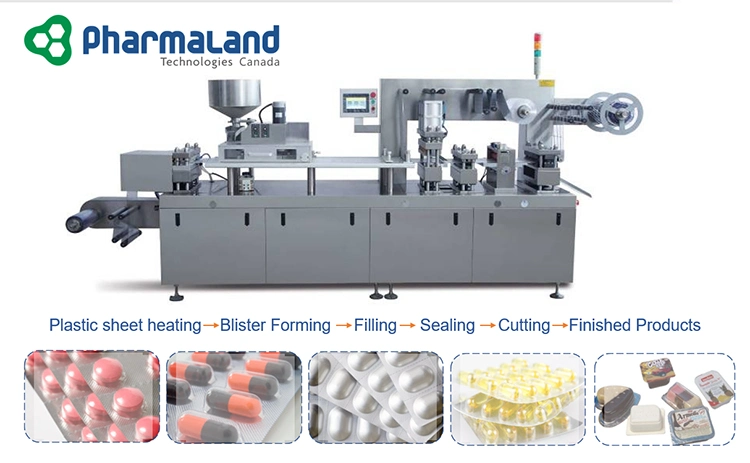 Ppl-260h2 Pharmaland DDP- 260 Blister Packing Machine Clear Transparent Slide Blister Packing Machine Tablet Capsule Blister Machine Packaging