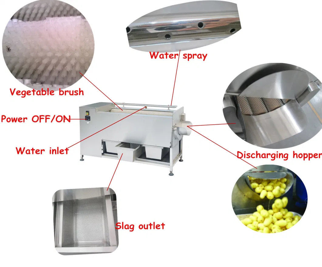 Cassava Processing Machinery/Sweet Potato Onion Carrot Peeler Machine with Brush