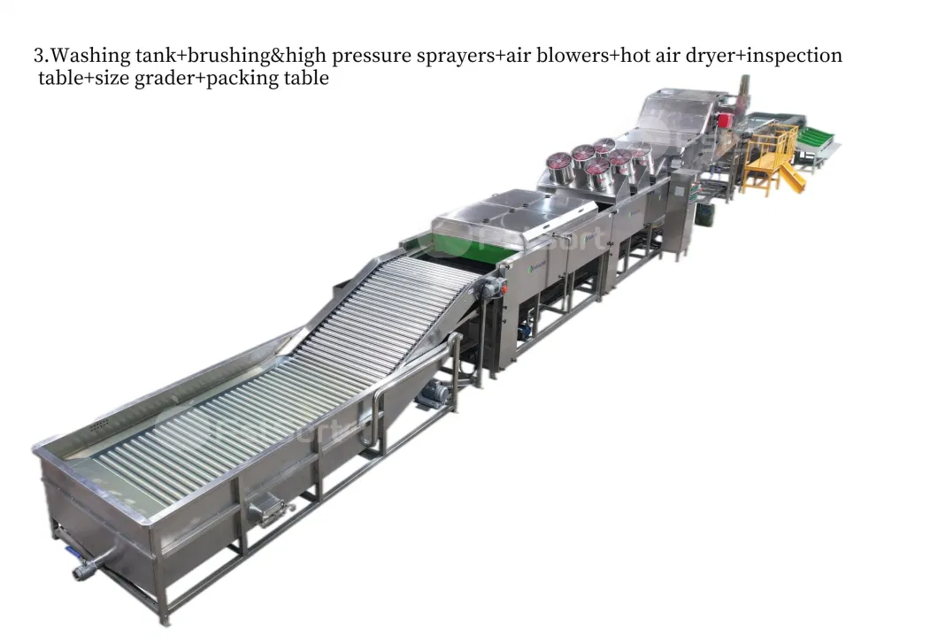 Potato Sorting Machine/ Potato Sorting Grading Machine/Sweet Potato Sorting Machine/Vegetable Sorting Machine