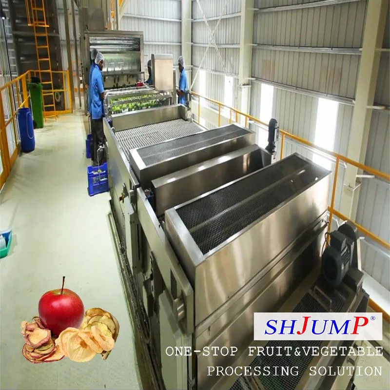 High-Quality Commercial Candied Cherry Tomato Processing Line Machine