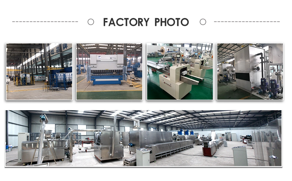 Commercial Automatic Animal Food Molding Machine