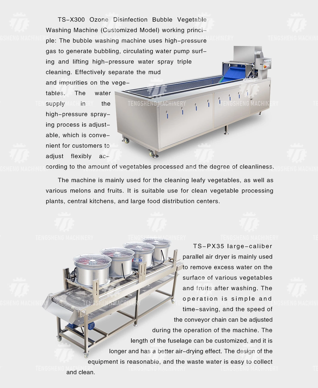 Vegetable Potato Sweet Potato Picking Hair Roller Bubble Cleaning Air Drying Cutting Machine Production Line