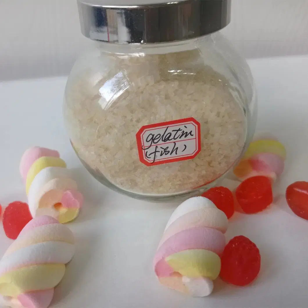 Bulk Supply Halal Fish Gelatin Chewing Gum Base Price