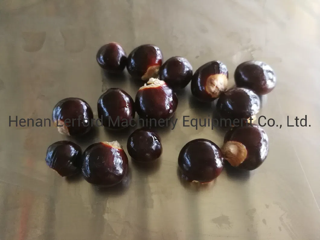 Lychee Pitter Longan Peeling and Pitting Stoning Coring Machine Line