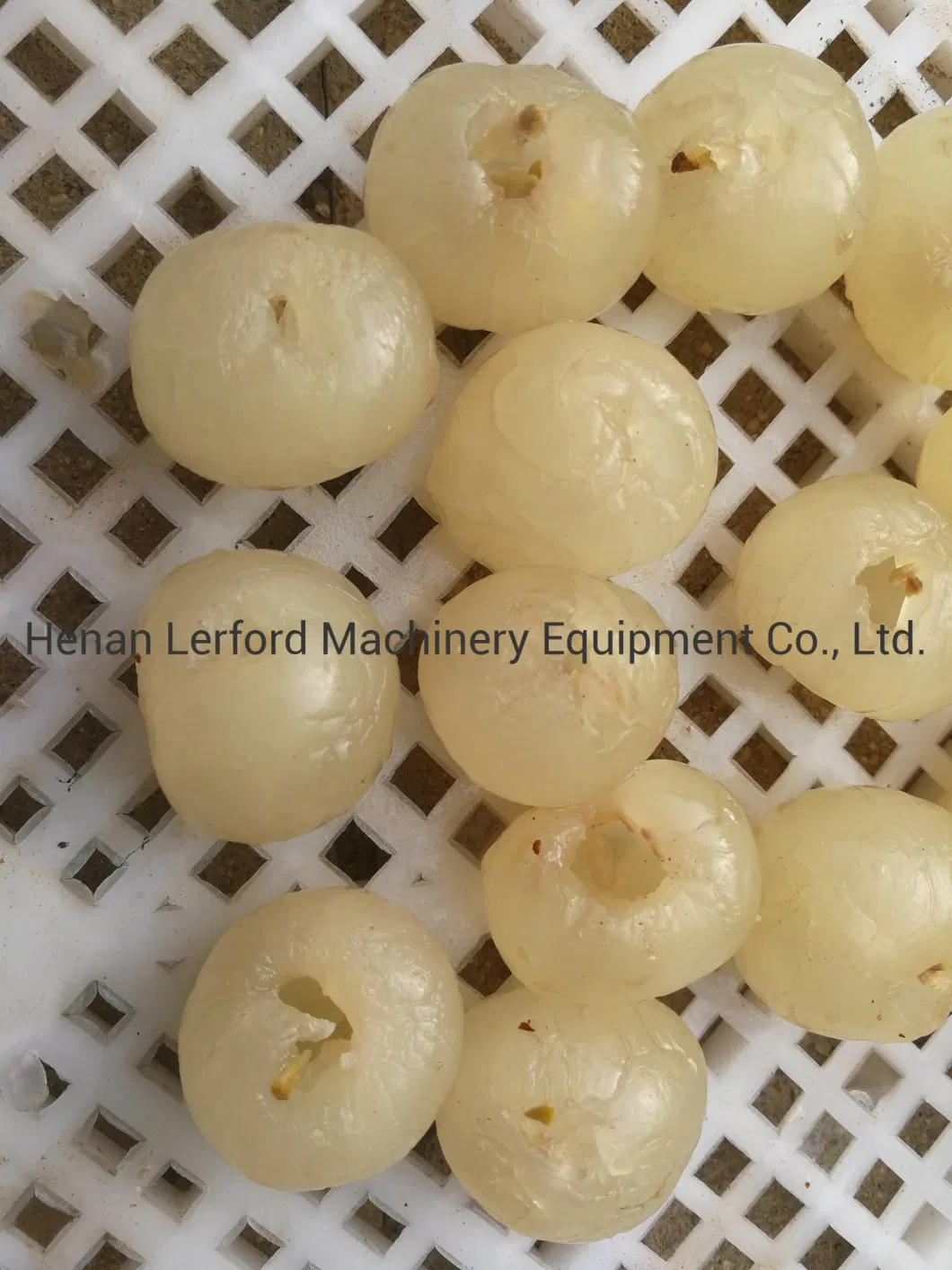 Lychee Pitter Longan Peeling and Pitting Stoning Coring Machine Line