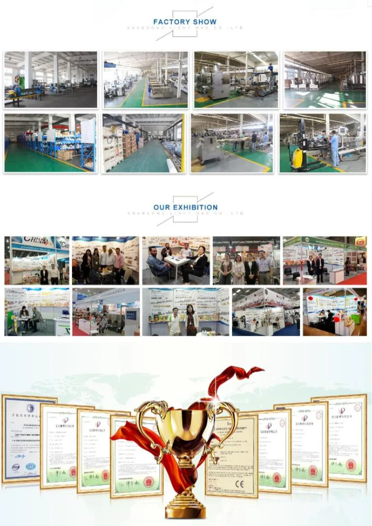 Chewing Gum Production Line for Sale Pet Treat Processing Line Dog Chew Extruder Machine