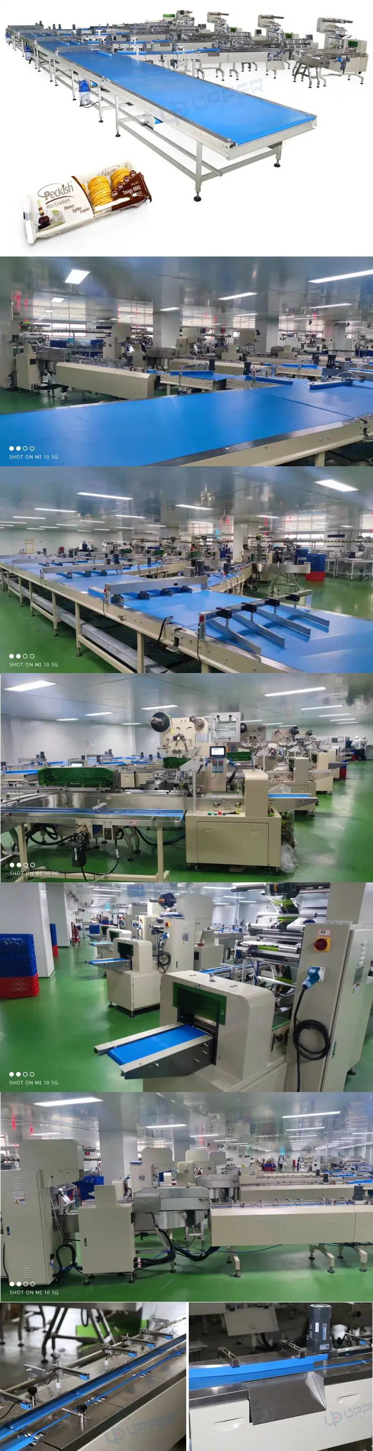 Candied Fruit Wet Tissue Hardware Parts Long Strip and Other Irregular Items Packaging Servo Packaging Machine Assembly Line Packaging Machine