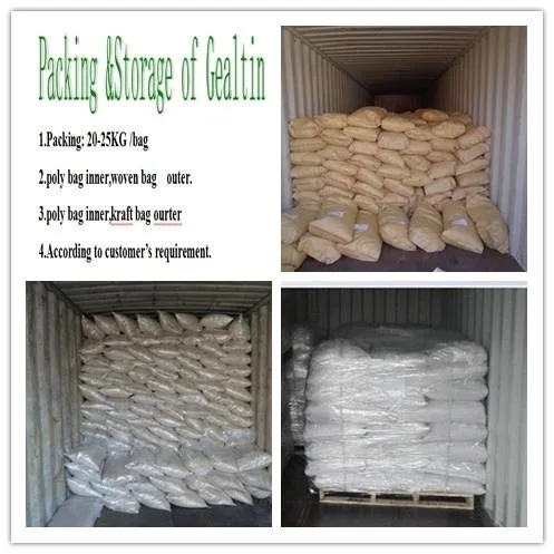 Bulk Supply Halal Fish Gelatin Chewing Gum Base Price