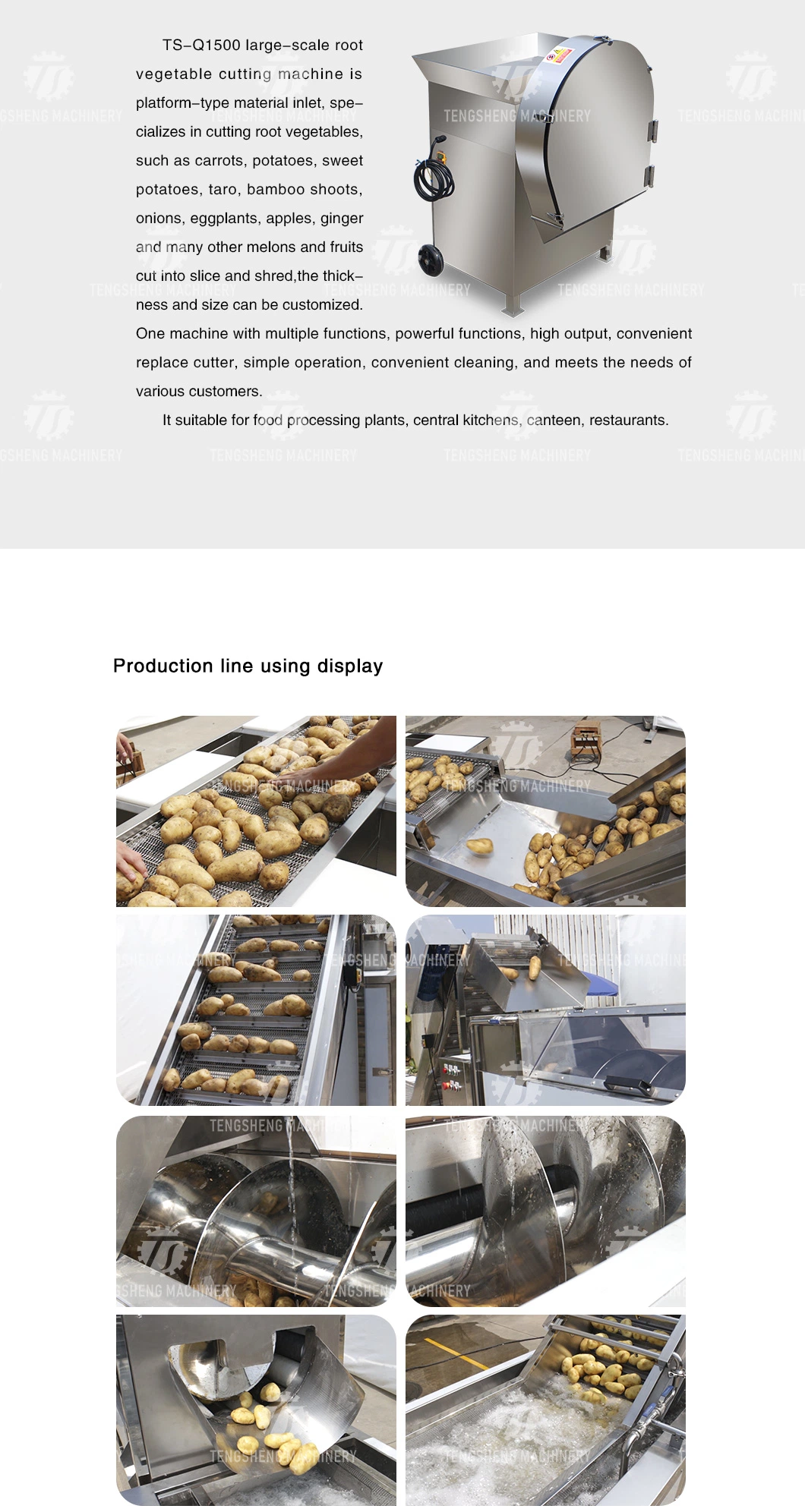 Vegetable Potato Sweet Potato Picking Hair Roller Bubble Cleaning Air Drying Cutting Machine Production Line