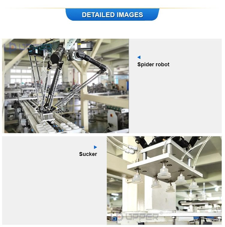 Manipulator Automatic Instant Noodle Bowl Noodles Cup Chocolate Bread Cookies Biscuit Flow Packaging Machines Carton Box Pillow Production Packing Machine Line