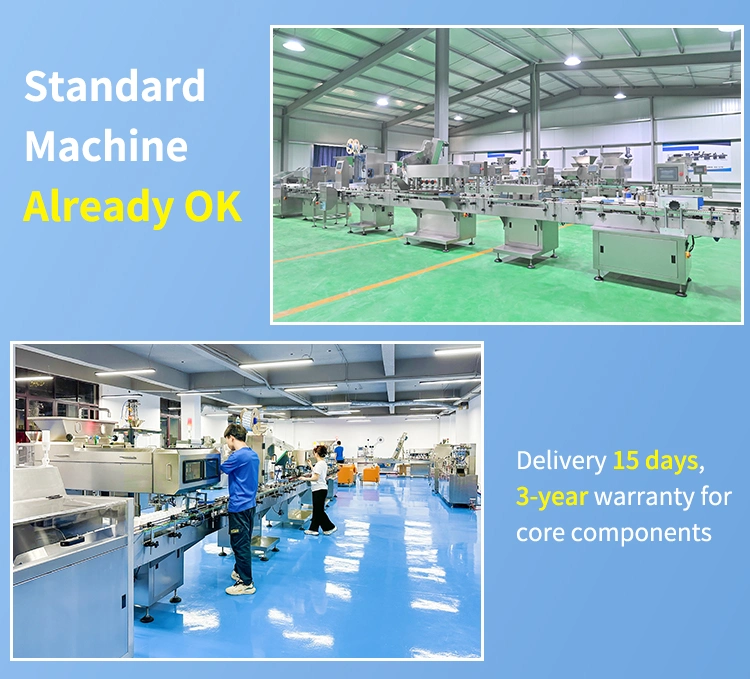 16 Lanes Automated PLC Control Tablet Capsule Counting and Bottling Machine Line