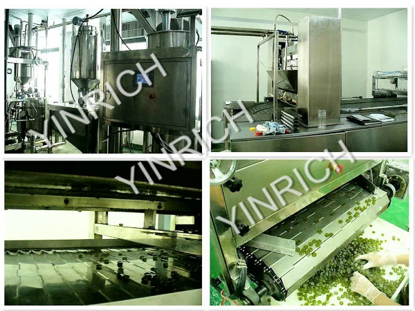 Center Filling Hard Candy Production Line Sweets Candy Machine (GD150)