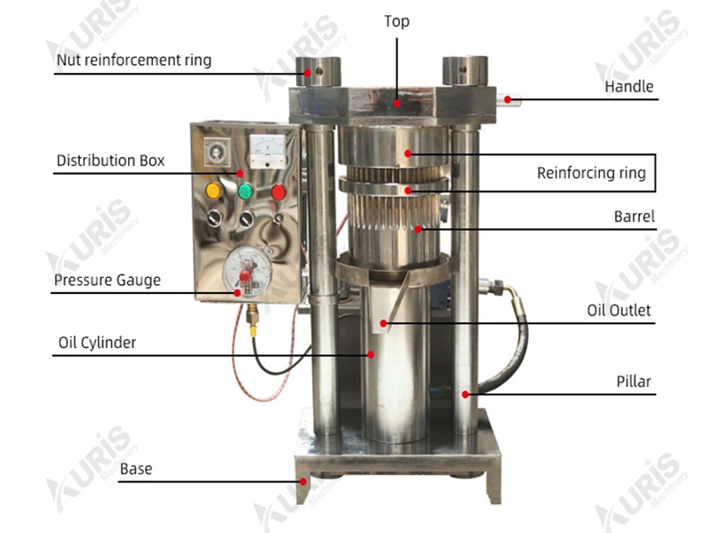 2 Kg 4 Kg Fully Automatic Commercial Hydraulic Peanut Walnut Cocoa Bean Oil Pressing Expelling Extruding Oil Making Machine