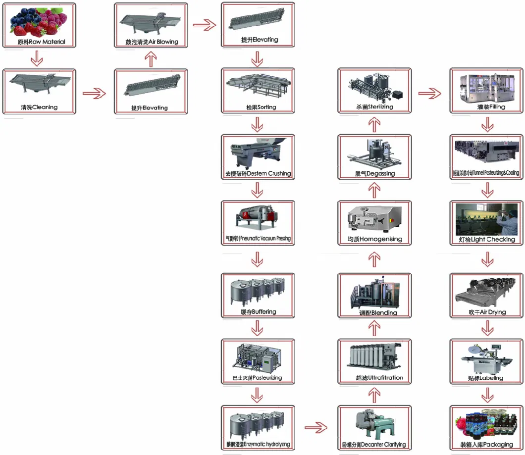 Cherry Candied Fruit Processing Line