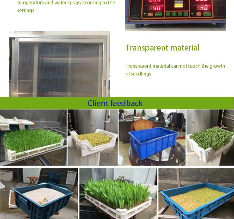 Hydroponic Grass Fodder Growing Systems Bean Sprout Making Machine