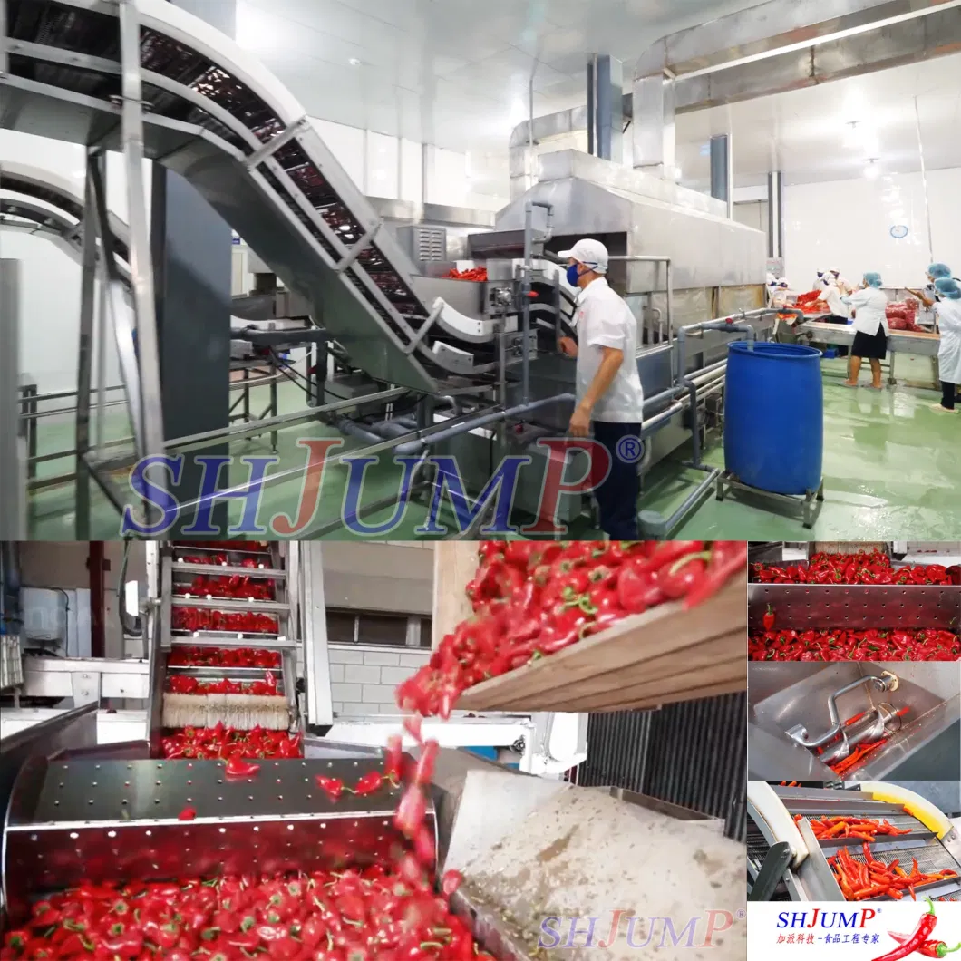 Chili Juice Syrup Pulp Puree Paste Concentrated Juice Nectar Jam Jelly Marmalade Essence Extract Powde Processing Line and Making Machines