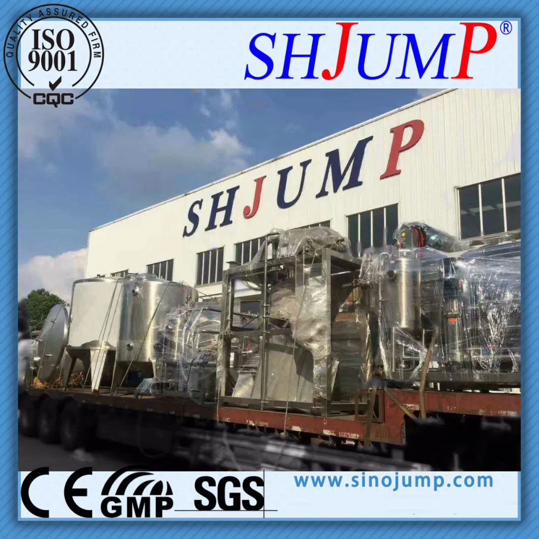 Cherry Candied Fruit Processing Line