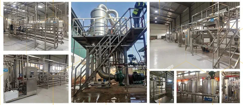 CE ISO Industrial Kiwi Puree Processing Line Washing Sorting Crushing Pulping Enzymolysis Homogenizing Strilizing Packaging System