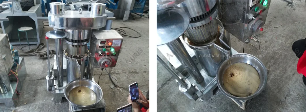 2 Kg 4 Kg Fully Automatic Commercial Hydraulic Peanut Walnut Cocoa Bean Oil Pressing Expelling Extruding Oil Making Machine