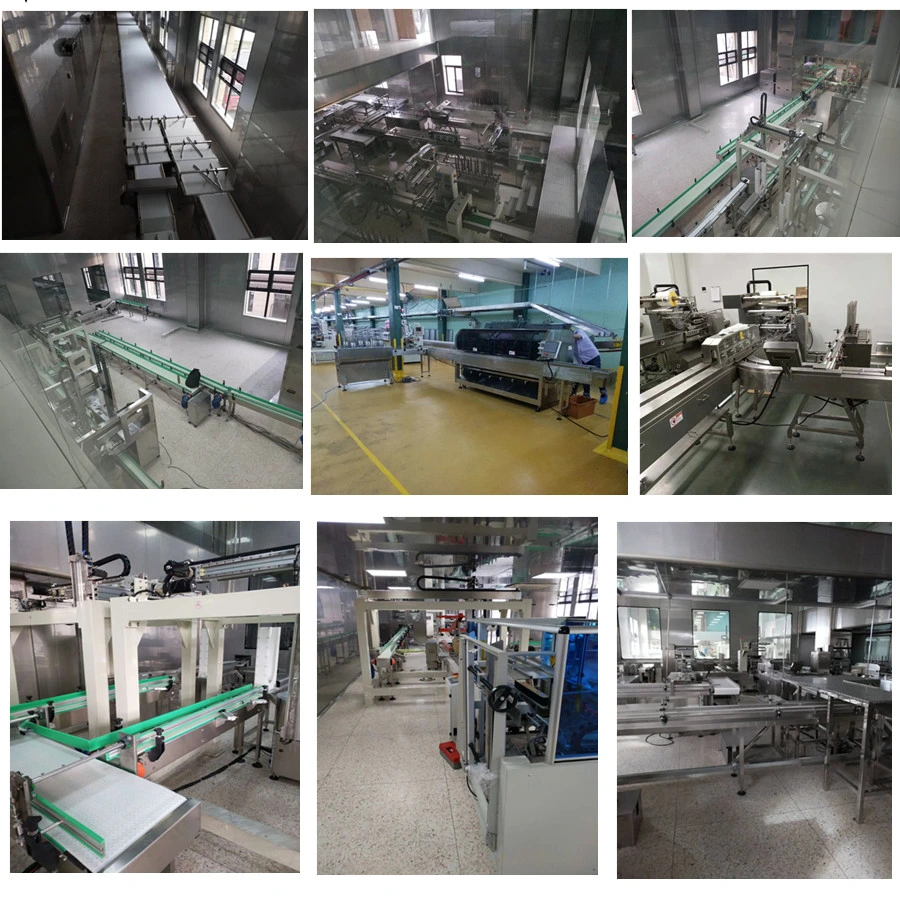 Caramel Treats Type Automatic Feeding and Packaging Line