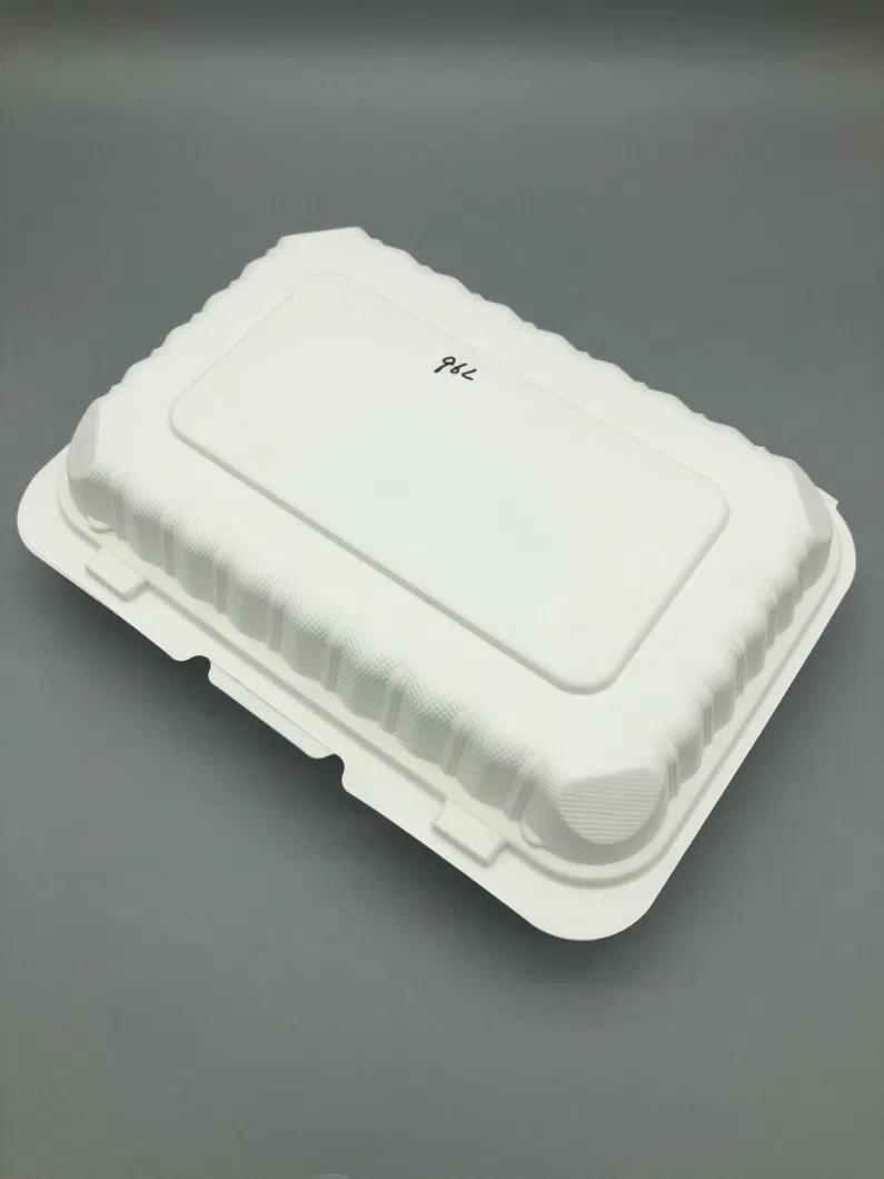 Household Plastic Food Storage Container Take Away PP Lunch Box