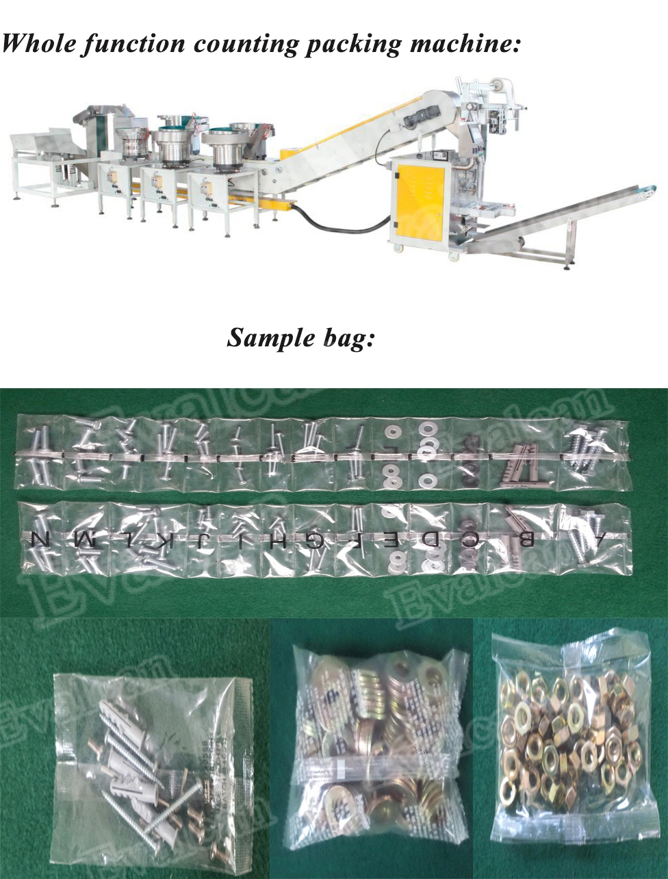 Automatic Screw Sorting Machine for Fastener