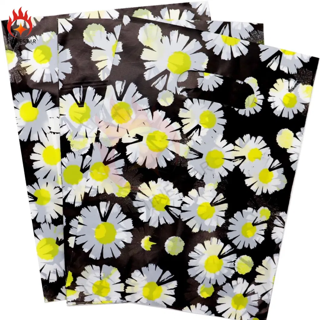 Color Printing Customized Plastic Shopping Merchandise Pakage Bag with Handle