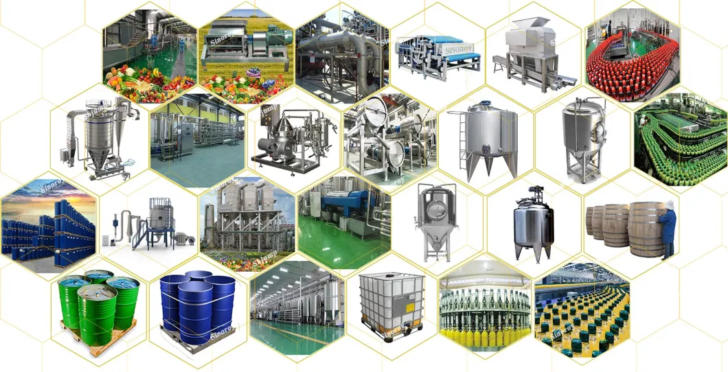 Baby Food Kiwi Puree Processing Line Washing Sorting Crushing Pulping Enzymolysis Homogenizing Strilizing Packaging System