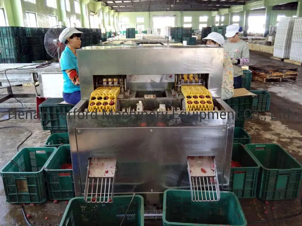 Lychee Pitter Longan Peeling and Pitting Stoning Coring Machine Line