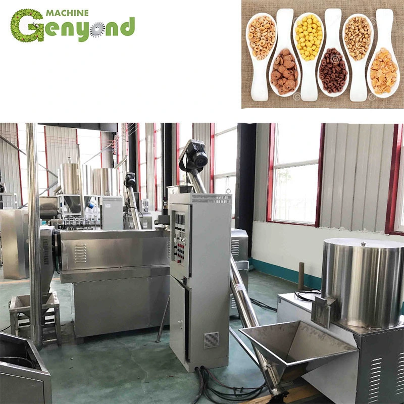 Chips Snacks Processing Shanghai Plant