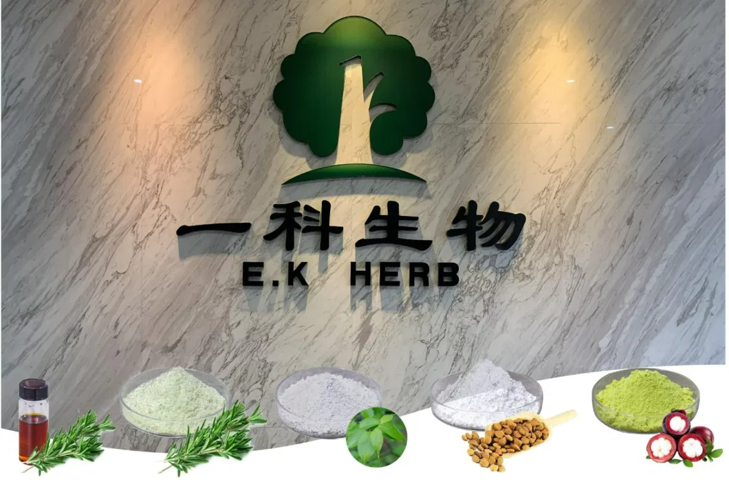 E. K Herb China Factory Wholesale Top Quality Food Grade Natural Sweetener Monk Fruit Extract Powder Luo Han Guo Powder Monk Fruit Sweetener