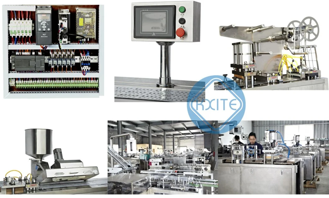 Automatic Alu PVC Alu Tablet/Pill/Capsule Blister Packer Machine