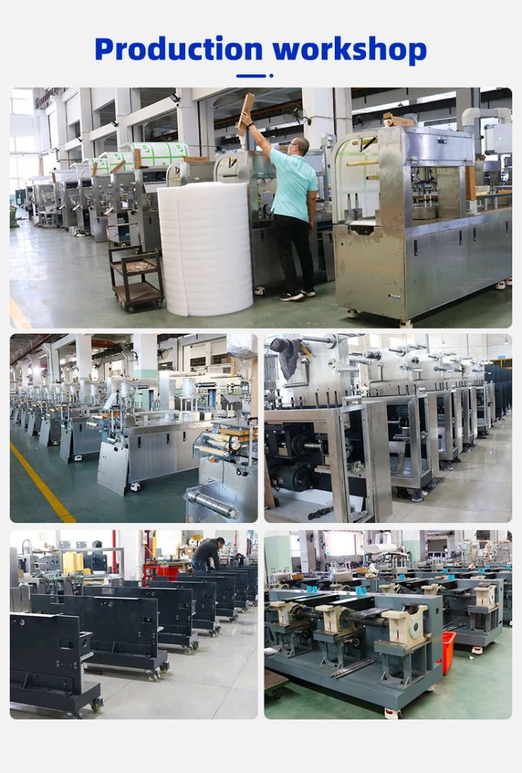 Dpp-260r High Speed Capsule Tablet Blister Packing Machine Price for Pharmaceutical Medical