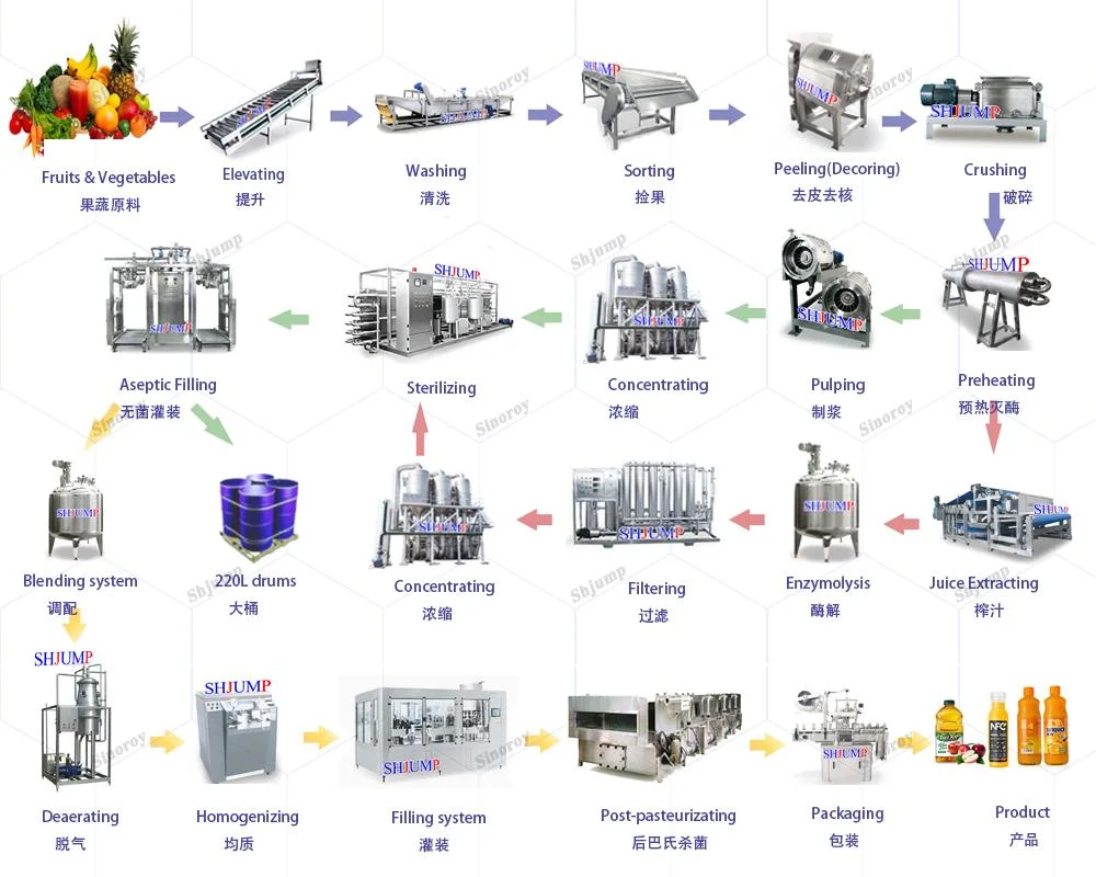 Baby Food Kiwi Puree Processing Line Washing Sorting Crushing Pulping Enzymolysis Homogenizing Strilizing Packaging System