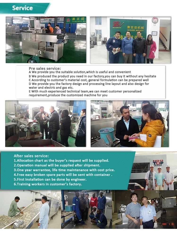 Soya Bean Protein Food Chunks Making Machine Processing Machinery