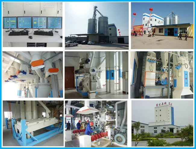 Dry Soya Beans Extruder Machine for Making Animal Fodder