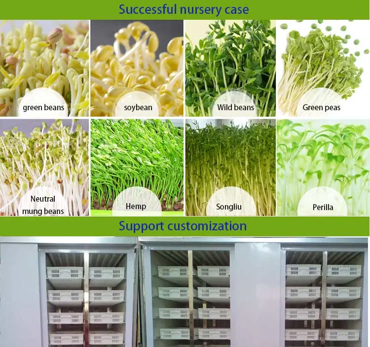 Hydroponic Grass Fodder Growing Systems Bean Sprout Making Machine