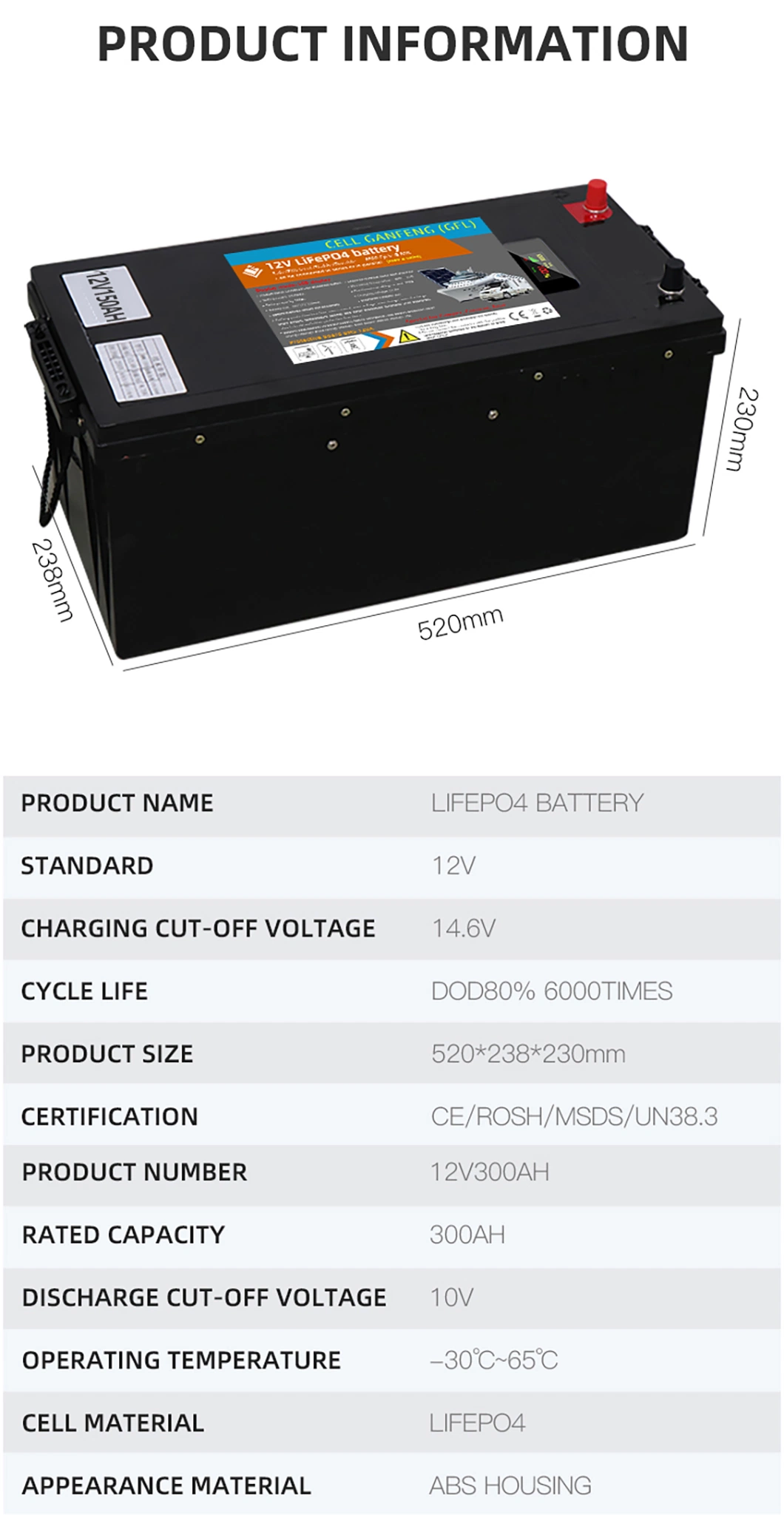 Deep Cycle LiFePO4 Battery Electric Vehicle DC Charger Lithium Ion Battery for EV RV Motorcycle Car Battery