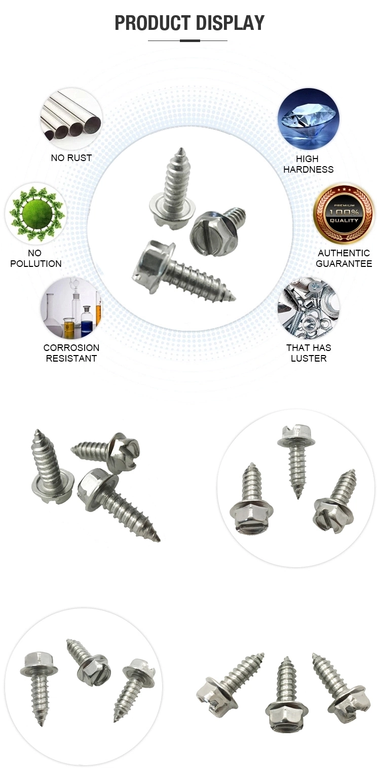 China Manufacturer High Quality Hexagon Head License Plate Screws