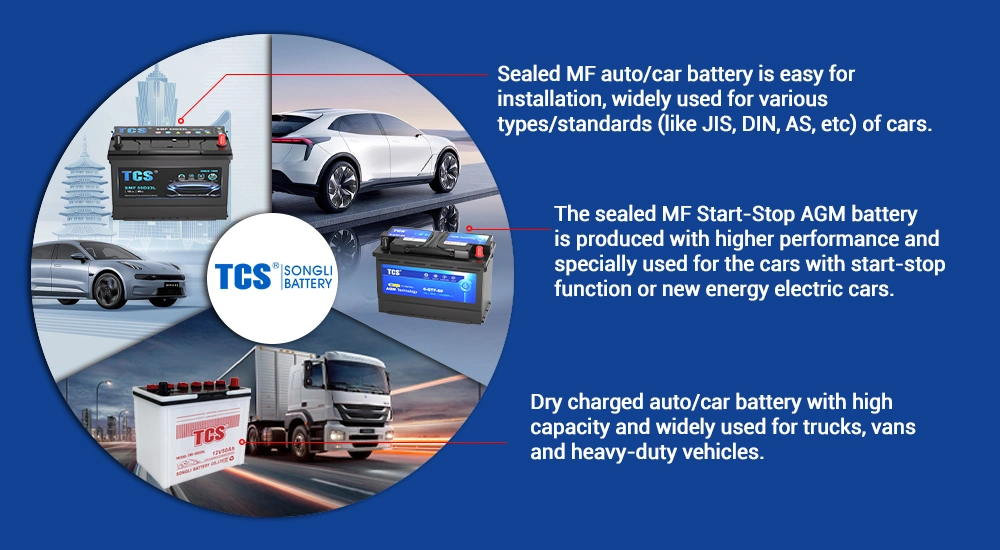 Tcs Factory Price 50b24r (N40) CCA350 40ah Car Battery Manufacture Car EV Battery Dry Charge Lead Acid Battery for Truck